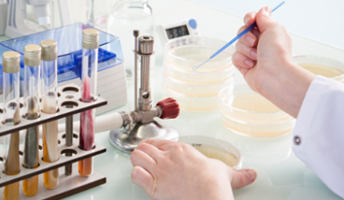 Picture of an analysis conducted by the lab